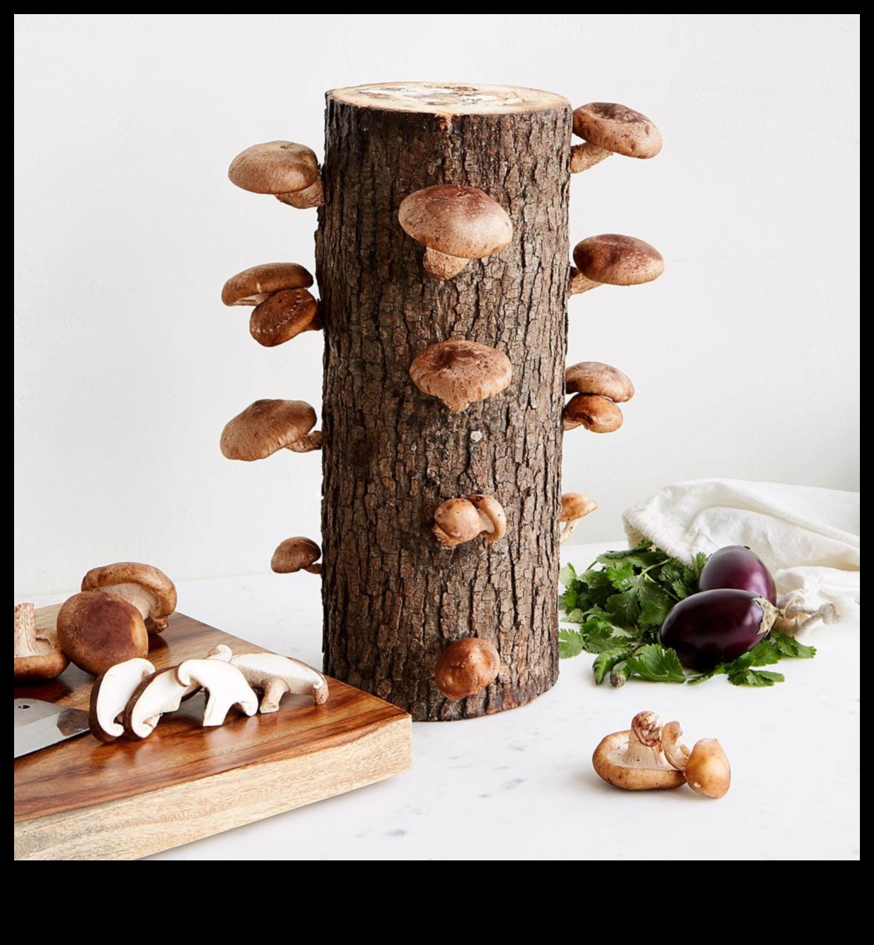 DIY kulinārijas dāvanas: ar rokām gatavoti gardumi katram gadījumam