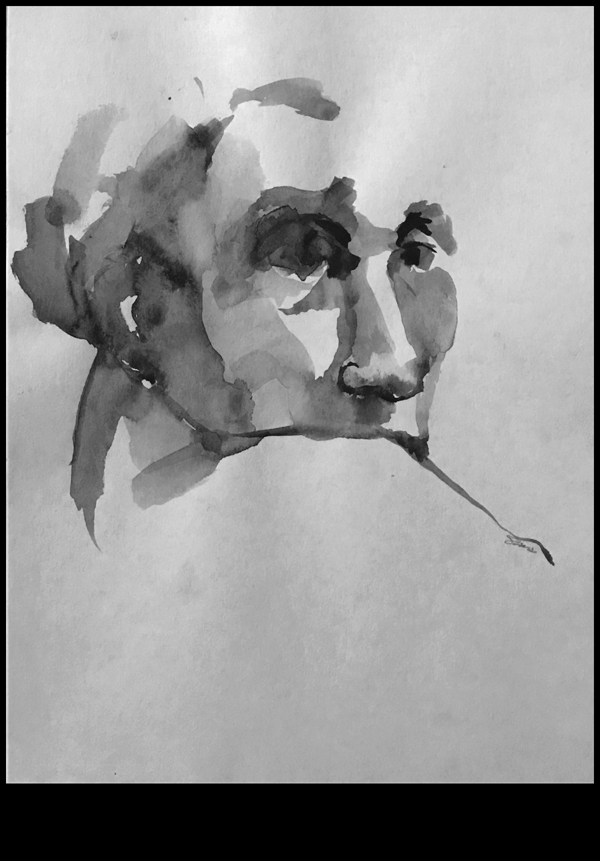 Ogles un emocijas: jūtu nodošana līnijām