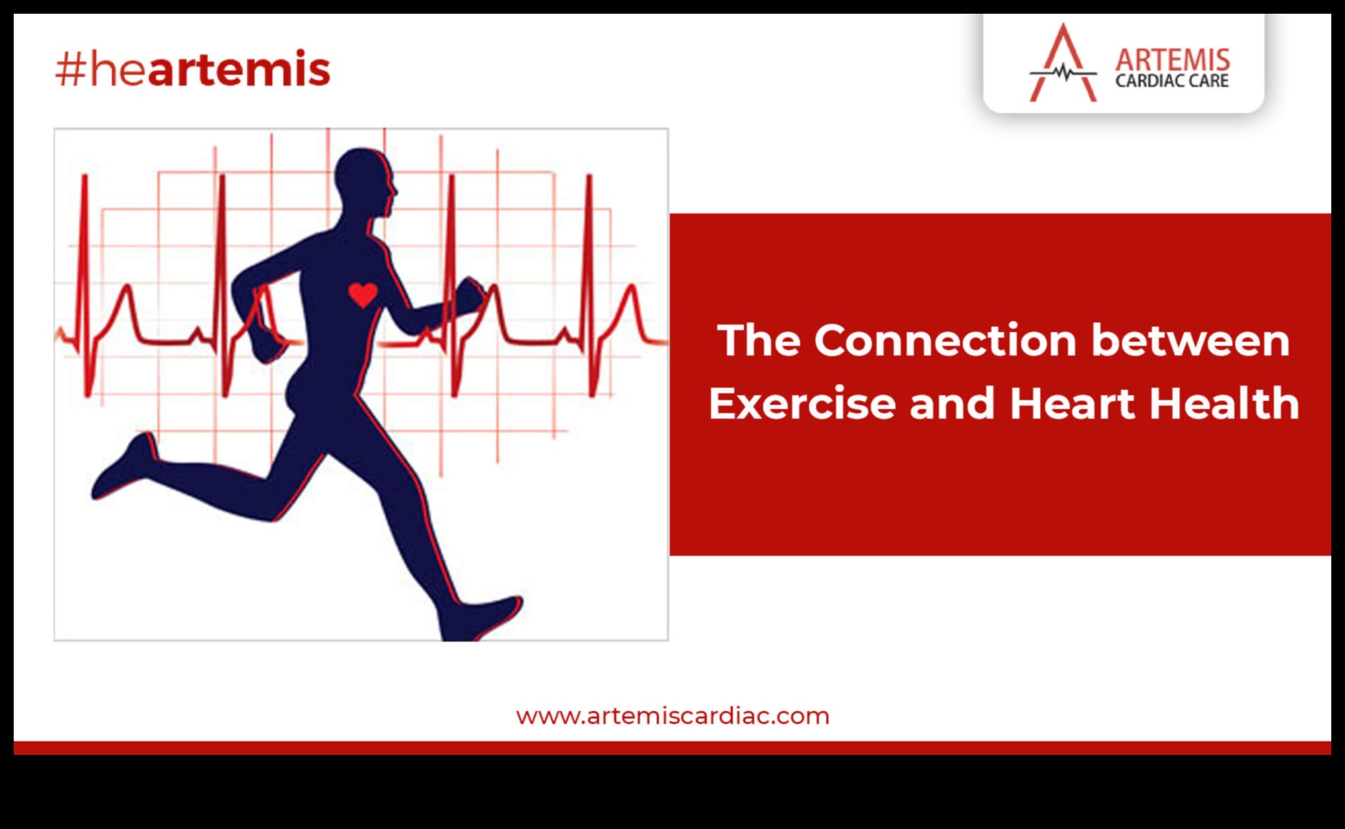 Sirds fitnesa simfonija: veselīgas dzīves diriģents