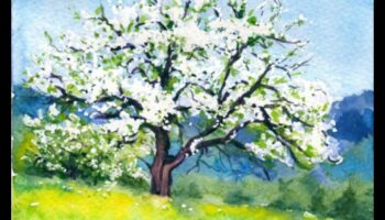 Akvareļu reālisma darbnīca: Profesionālās mākslas paņēmieni