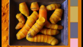 Kurkuma simfonija: garšu harmonizēšana jūsu veselīgajos veidojumos