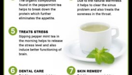 Malkojiet un nomieriniet: atklājiet piparmētru tējas nomierinošo efektu