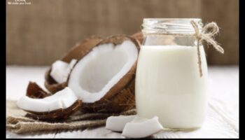 Uzturvielām bagāti eliksīri: uzlabojiet veselību ar kokosriekstu piena maisījumiem