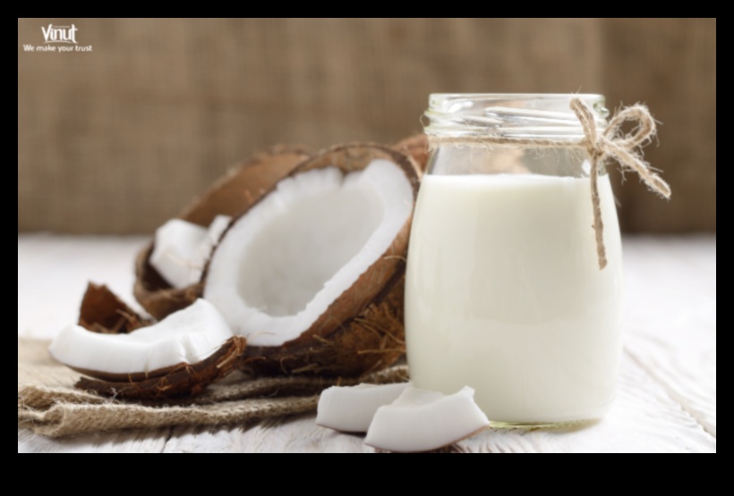 Uzturvielām bagāti eliksīri: uzlabojiet veselību ar kokosriekstu piena maisījumiem